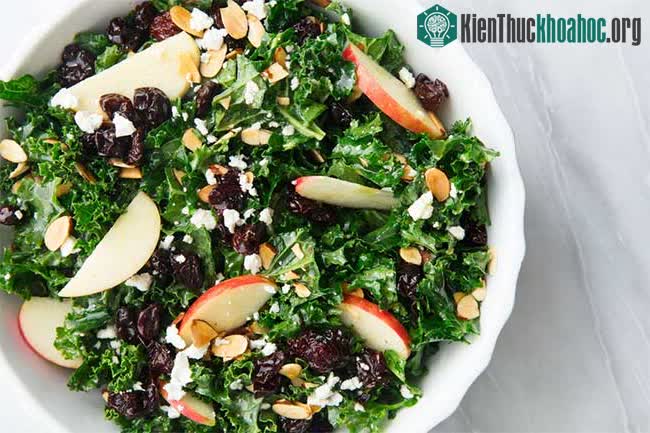 Nhiều chất chống oxy hóa mạnh được tìm thấy trong cải xoăn