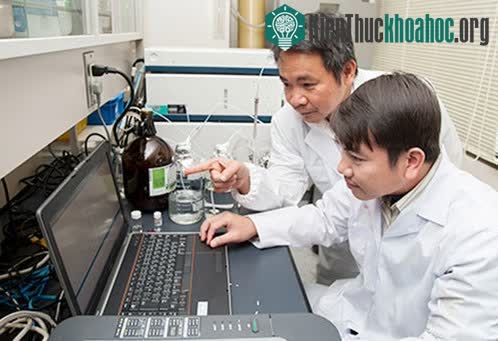 GS Trần Đăng Xuân (bìa phải) và nghiên cứu viên tại Phòng thí nghiệm