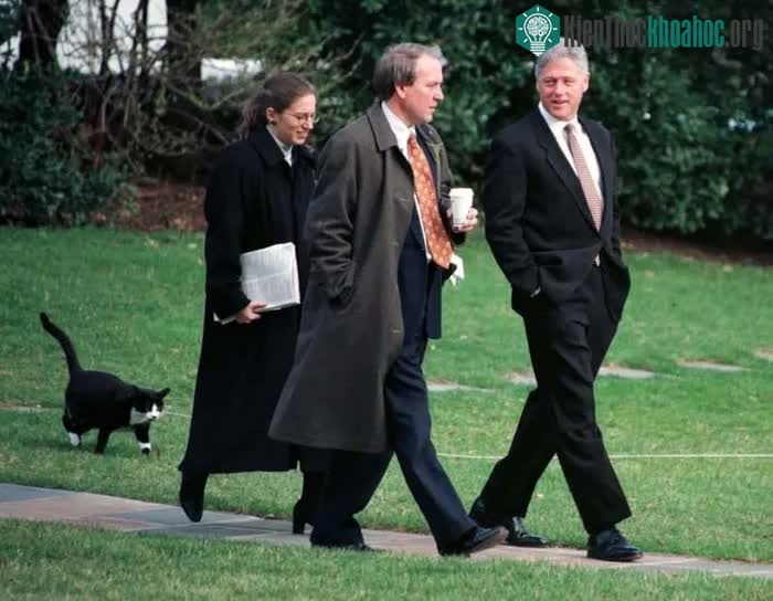 Tổng thống Bill Clinton đã nhận nuôi một chú mèo và đặt tên là Socks.
