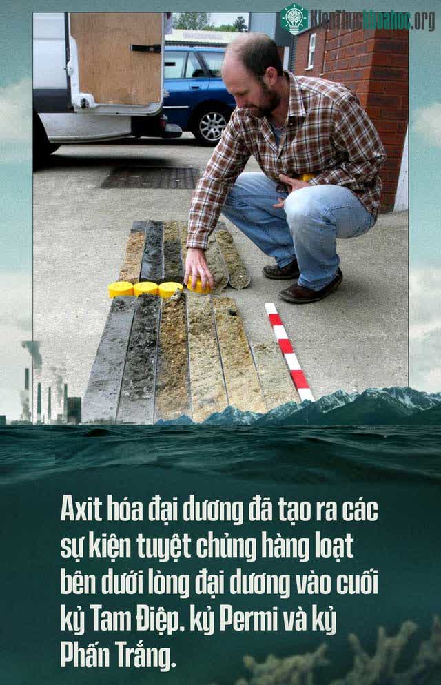 Axit hóa đại dương cũng đã tạo ra các sự kiện tuyệt chủng hàng loạt bên dưới lòng đại dương