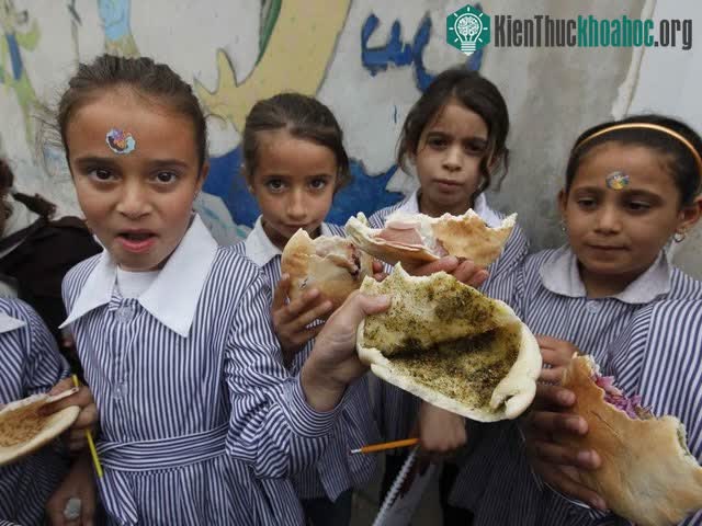 Nablus, Bờ Tây: Bánh mì pita nhồi dầu ô liu và za'atar, hỗn hợp các loại thảo mộc và gia vị.