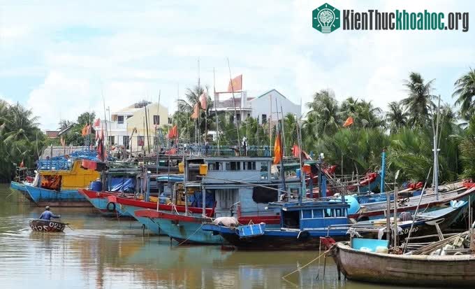 Các tàu thuyền được lai dắt vào bờ