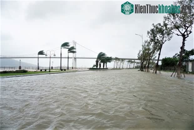 Nước sông Hàn dâng cao đã gây ngập cục bộ.