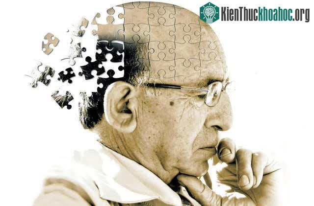 Bộ não con người lưu trữ ký ức như thế nào? ảnh 2