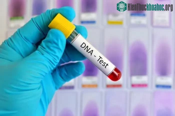 ADN có thể ứng dụng nhiều vào thực tế để phục vụ cho cuộc sống của con người.