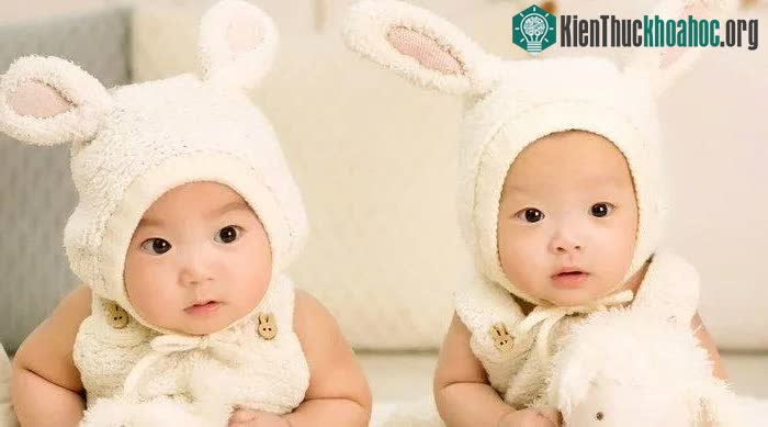 Bảo hiểm sinh đôi sẽ hoàn trả cho các bà mẹ mang thai những chi phí với giá “bất ngờ”.