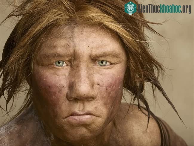 &nbsp;Những người Neanderthal đã bị đồng hóa vào nguồn gene của chúng ta một cách hiệu quả.