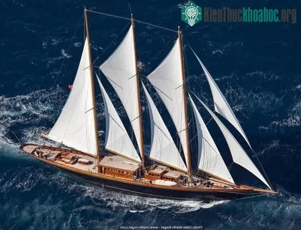 Với độ cao khoảng 63m, Vira/Creole thực sự hùng vĩ