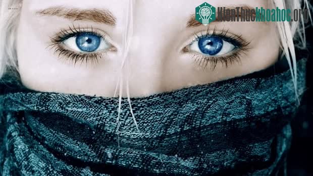 Nghiện rượu có một thành phần di truyền liên kết với các chuỗi gene xác định màu mắt.