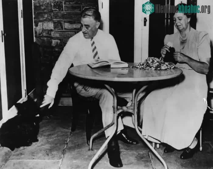 Tổng thống Franklin D. Roosevelt có một số con chó cưng