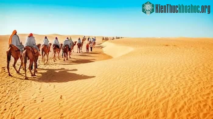 Nhiều nước đề xuất đưa nước biển vào sa mạc, nhưng điều này sẽ khiến Trái đất quay về kỷ băng hà! ảnh 3