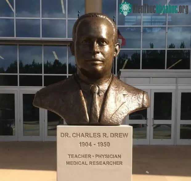 Câu chuyện về Charles Richard Drew - Nhà khoa học khởi xướng ngân hàng máu, cứu sống hàng triệu người ảnh 3