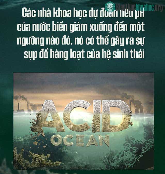 Nếu pH của nước biển giảm xuống đến một ngưỡng nào đó sẽ diễn ra sự sụp đổ hàng loạt
