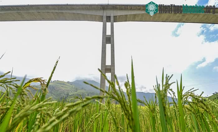 Trụ đầu cầu Móng Sến cao 83m, là trụ cầu cạn cao nhất Việt Nam.