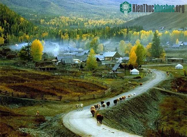 Tân Cương - Khu vực không được bao ship ở Trung Quốc ảnh 4
