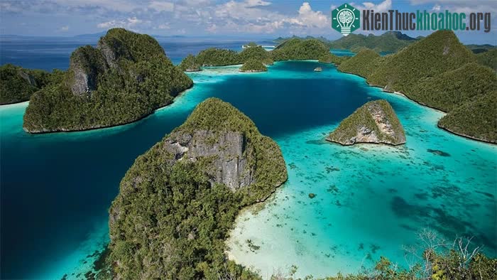 Mạng lưới Khu bảo tồn Biển Raja Ampat trải dài hơn 4 triệu ha
