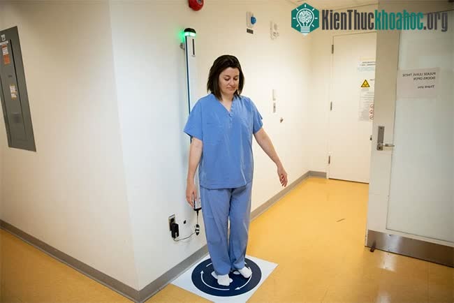 Helen Santoro tham gia vào Dự án Bộ não Thú vị.