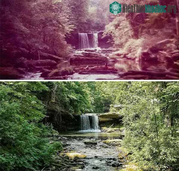 Thác Youngstown năm 1951 và 2022