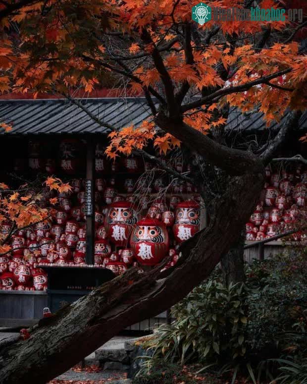 Daruma vẫn thường được mua để giúp cầu may cho sự thành công.