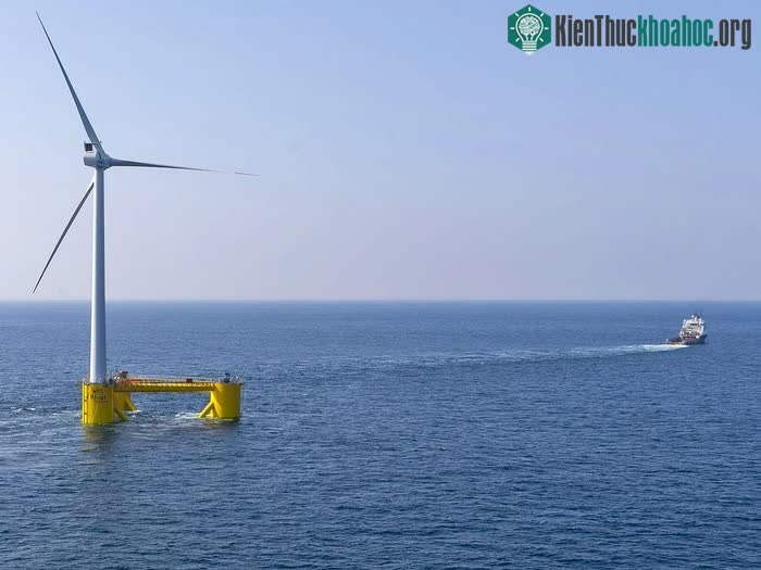 Xây dựng các trang trại điện gió ngoài khơi cũng góp phần cho ô nhiễm tiếng ồn.
