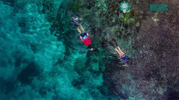 Du khách lặn biển ở Raja Ampat.