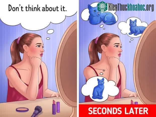 Lý thuyết quá trình mỉa mai