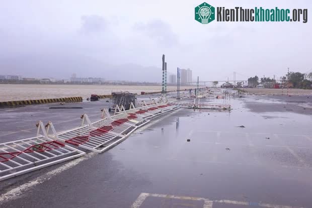 Đã ghi nhận thiệt hại về tốc mái nhà, cây ngã đổ… tuy nhiên vẫn chưa có thống kê được số lượng cụ thể.