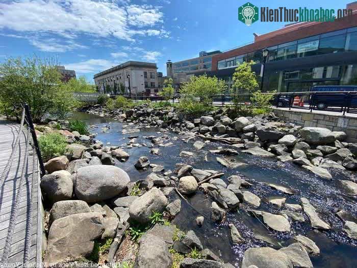 Một dòng chảy trong lòng đô thị ở Yonkers, New York.