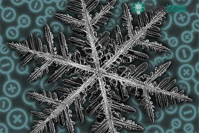 Fractal là một cách tuyệt vời và khá bất ngờ để giảm căng thẳng