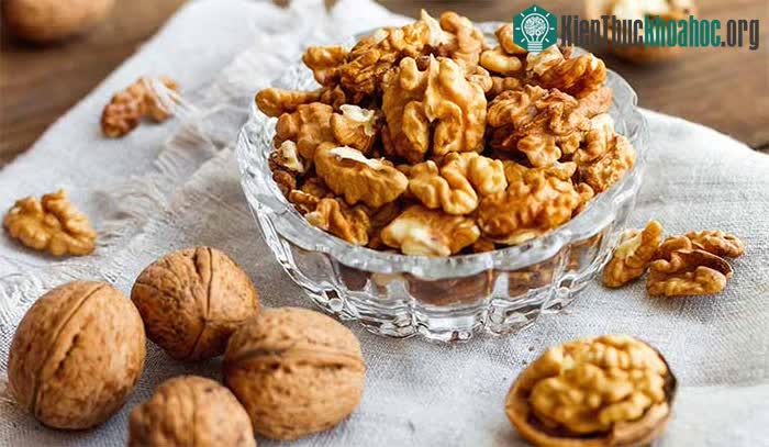 Ăn óc chó giúp sinh viên giảm căng thẳng trong học tập.
