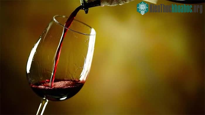 Đồ uống có cồn có mối liên hệ mật thiết với bệnh ung thư.
