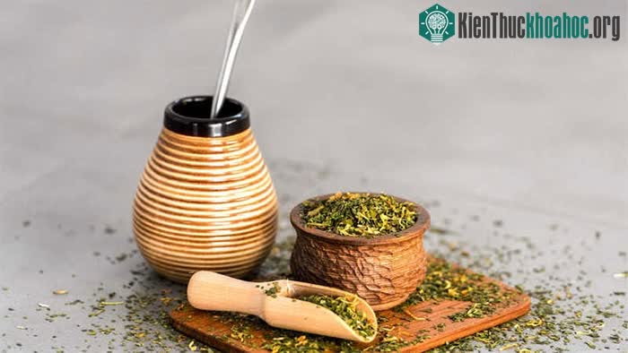 Yerba Mate là một dạng trà thảo mộc