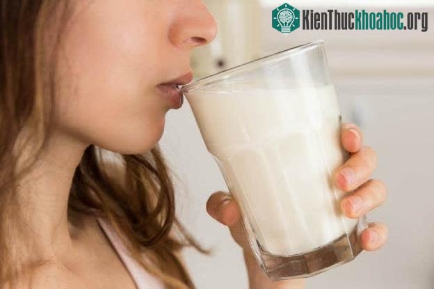 IGF-1 trong sữa có thể dẫn đến các vấn đề về mụn trứng cá.
