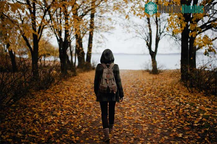 Trải nghiệm đi bộ dưới điều kiện thời tiết không tốt có thể khó chịu nhưng lại có lợi ích lớn.