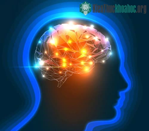 Người sống sót sau chết hụt sẽ có các hoạt động não mạnh hơn
