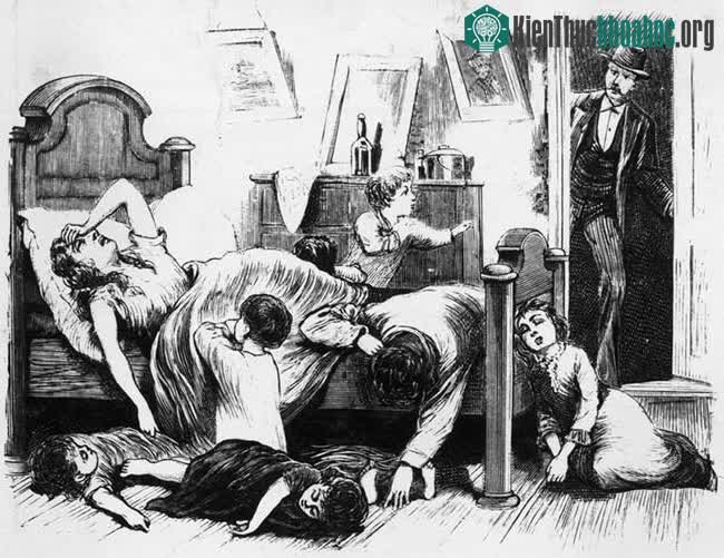 Bệnh sốt vàng da đã cướp đi sinh mạng của hàng chục nghìn người.