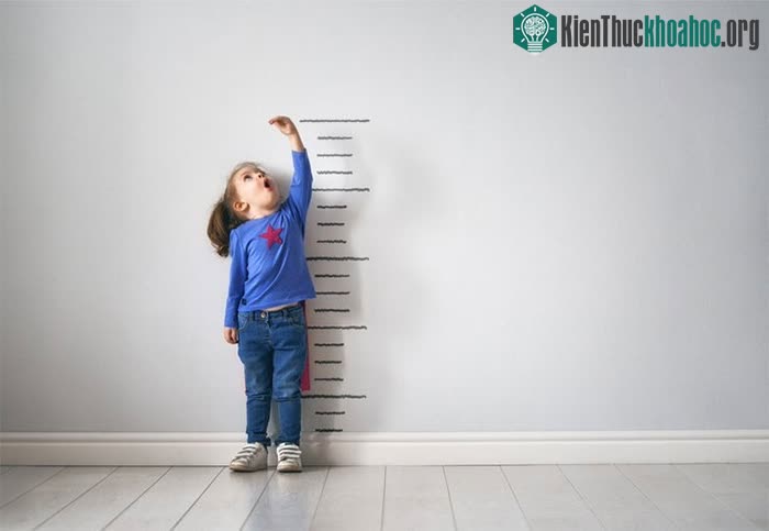 Chiều cao con người đã tăng đáng kể trong vòng 200 năm qua.