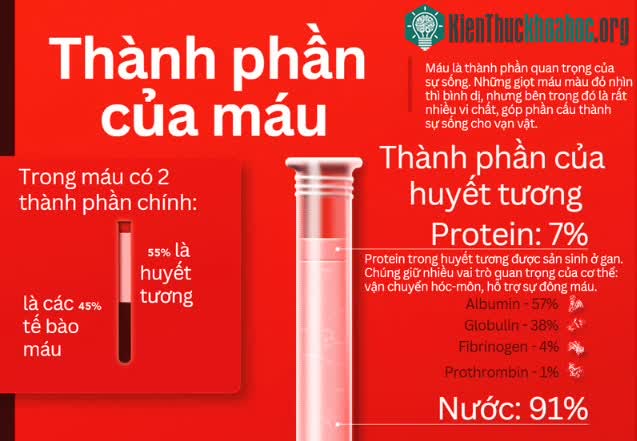 Thành phần của máu