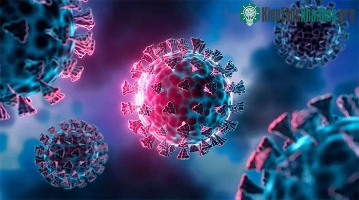 Hình ảnh minh họa về một đột biến của virus covid-19.