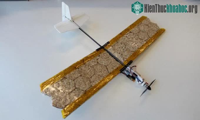 Mẫu drone với đôi cánh làm bằng bánh gạo.