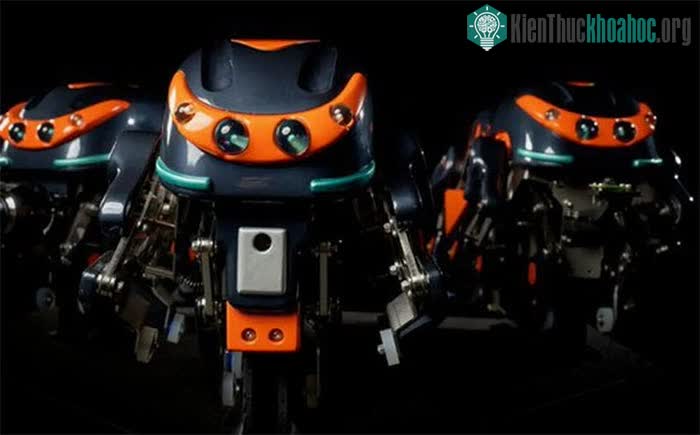 Một con nhện robot có khả năng hỗ trợ kiểm tra đường ống nước thải.