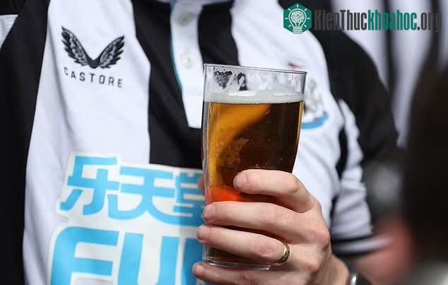 Các quầy hàng trong sân tổ chức World Cup sẽ không bán bia thông thường.