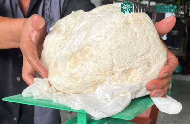 Vật thể được ngư dân ở Huế phát hiện nghi là long diên hương.