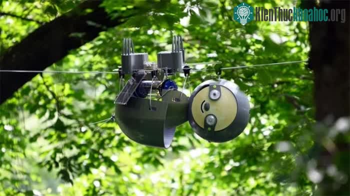 Cỗ máy được chế tạo với những đặc điểm giống một chú lười.