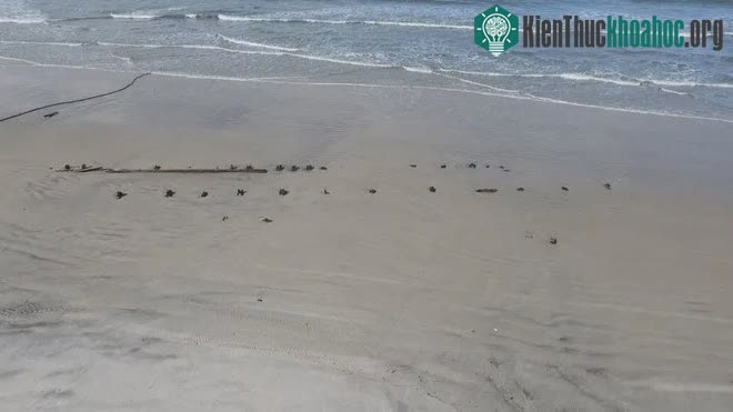 Vật thể này xuất hiện sau khi cơn bão Nicole và bão Ian quét qua Florida làm xói mòn bờ biển.