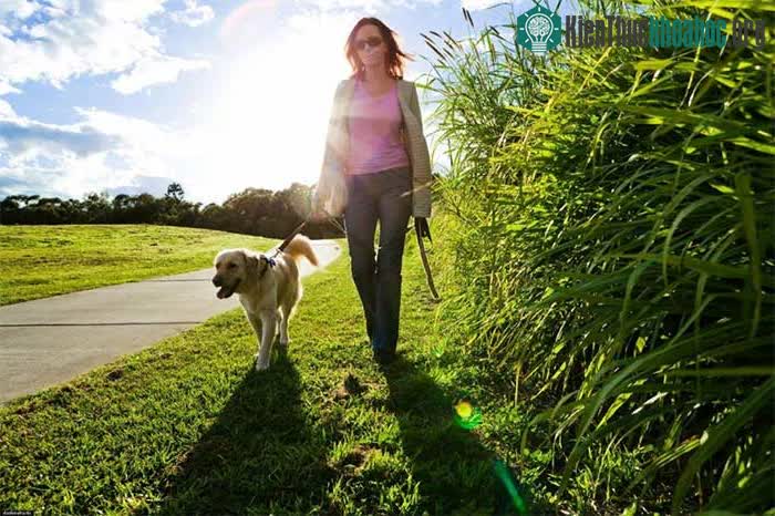 Thực vật có khả năng cải thiện chất lượng không khí, giúp giảm căng thẳng.