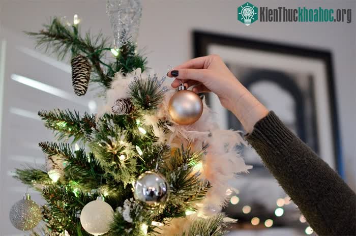 Sau khi trang trí dây đèn, mọi người cần rửa tay sạch để loại bỏ các chất độc hại trên tay.