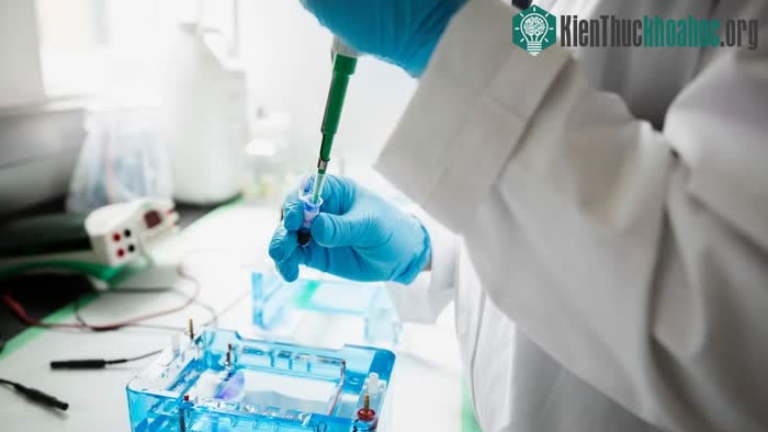 Tất cả kết quả đều cho thấy cô không phải mẹ ruột của hai đứa con cô.