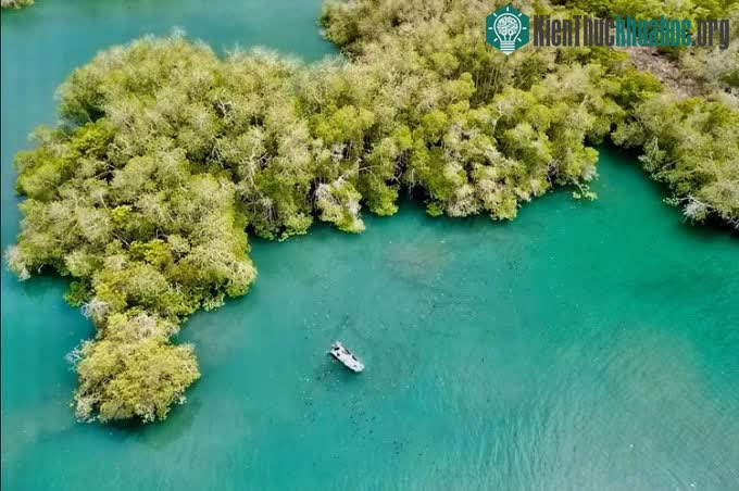 Ảnh chụp trên cao một phần của Công viên Quốc gia Galapagos