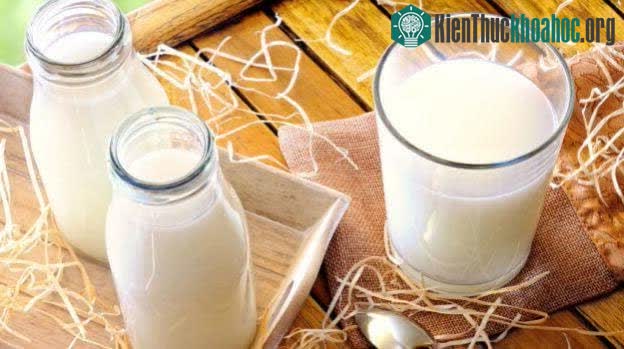 Có mối tương quan giữa sữa và mụn trứng cá.